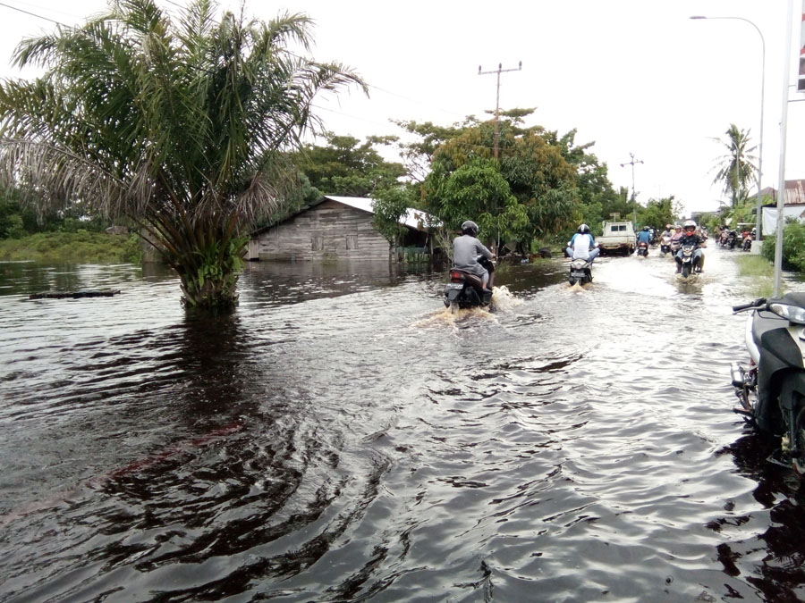 Banjir Mulai Surut, 1.070 Rumah Warga Terendam Banjir di Bengkalis